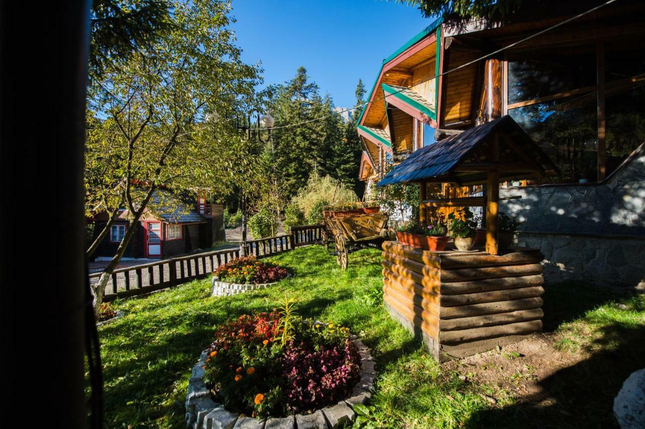 Отель Gura Diham Буштени Экстерьер фото